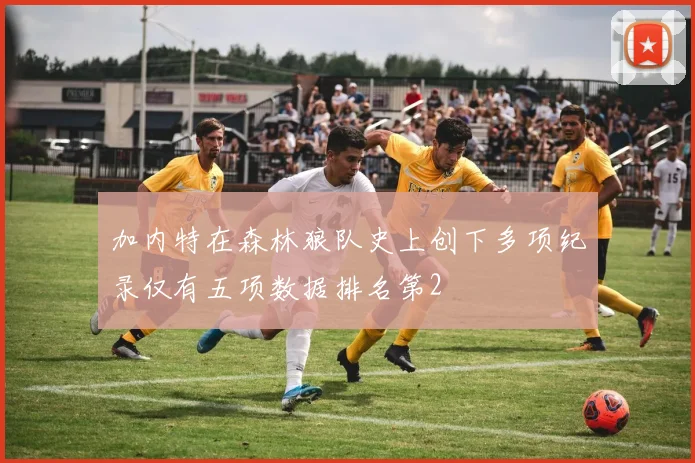 加内特在森林狼队史上创下多项纪录仅有五项数据排名第2